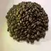 فروش انواع دانه قهوه عربیکا و ربوستا عمده و خرده