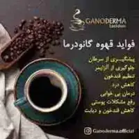 فروش قهوه گانودرما اصل ، پک درمان  کبد چرب و لاغری