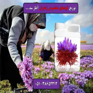 کود مخصوص زعفران افزایش گل دهی زعفران قیمت کود زعفران کود مایع زعفران