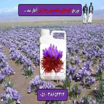 کود مخصوص زعفران افزایش گل دهی زعفران قیمت کود زعفران کود مایع زعفران