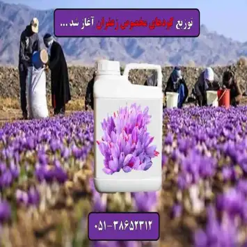 کود مخصوص زعفران افزایش گل دهی زعفران قیمت کود زعفران کود مایع زعفران