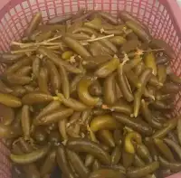 فروش انواع خیار شور همدان
