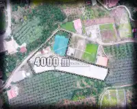 خرید زمین ۴۰۰۰ متری مسکونی در تنکابن