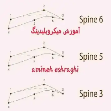 تخفیف دوره اموزشی میکروبلیدینگ امینه اشراقی