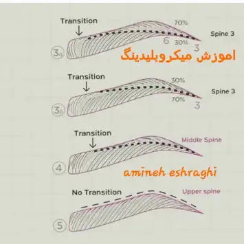 تخفیف دوره اموزشی میکروبلیدینگ امینه اشراقی